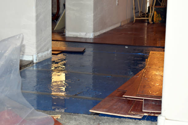 Professional Water Damage Restoration technician working in Dexter, OR